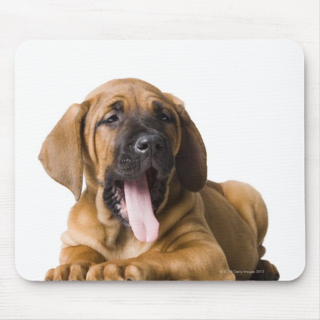 Puppy Dog 2 Mouse Mat (Front)