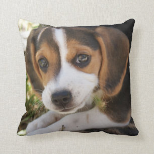 Puppy Dog Beagle Cushion