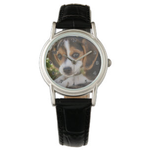 Puppy Dog Beagle Watch