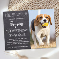 Puppy Dog Birthday Come Sit Stay Play Party