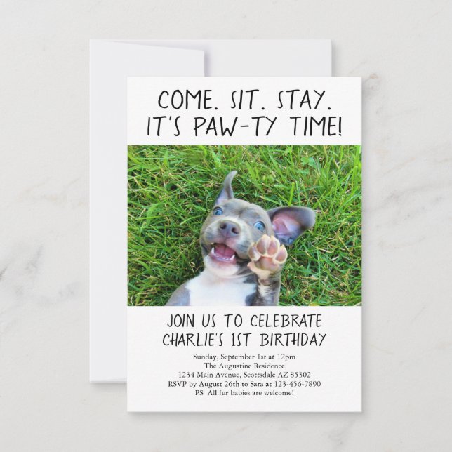 Puppy Dog Birthday Party Photo Invitation (Front)