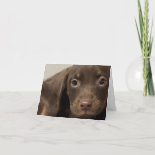 Puppy Dog Blank Note Card