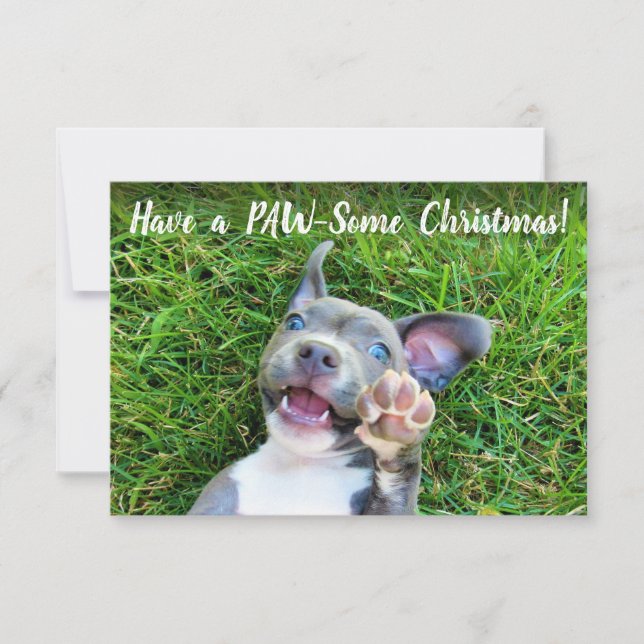 Puppy Dog Christmas Holiday Photo Card (Front)