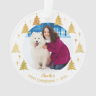 Puppy Dog First Christmas Pet Photo White and Gold