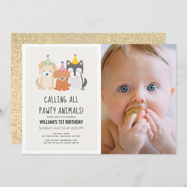 Puppy Dog Gold Pawty Animals Photo Birthday Invitation (Front/Back)