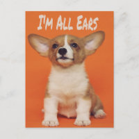 Puppy Dog I'm All Ears, Cute Meme