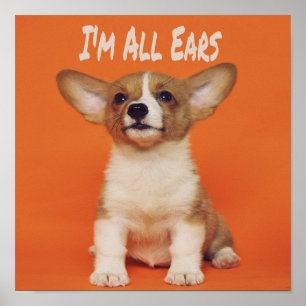 Puppy Dog I'm All Ears, Cute Meme Poster