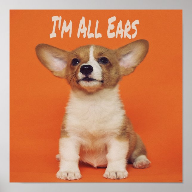 Puppy Dog I'm All Ears, Cute Meme Poster (Front)