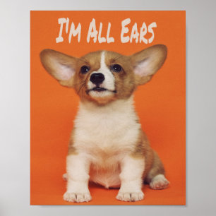Puppy Dog I'm All Ears, Cute Meme Poster