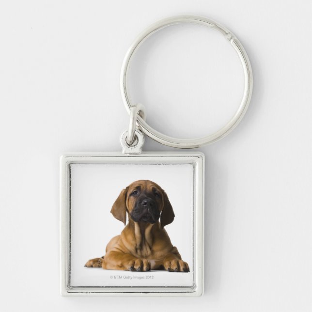 Puppy Dog Key Ring (Front)