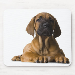 Puppy Dog Mouse Mat
