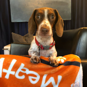 Puppy Dog Paw Print Blanket Add Doggie Name