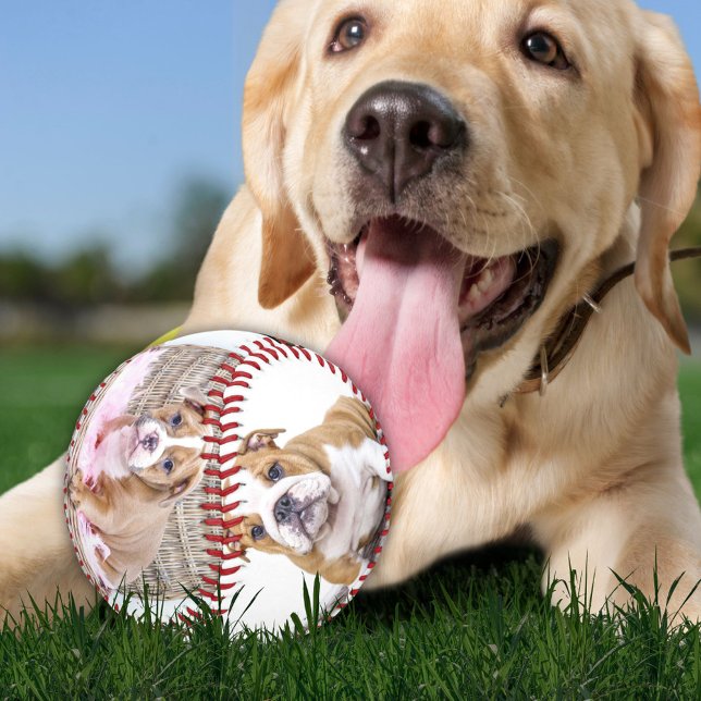 Puppy Dog Photo Collage Keepsake Baseball (Creator Uploaded)