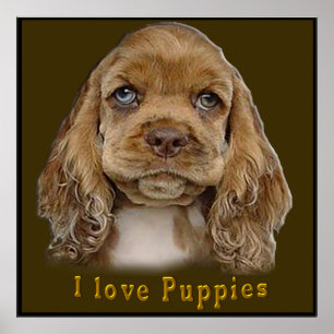 Puppy Dog Poster