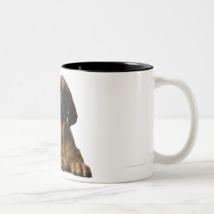 Puppy Dog Two-Tone Coffee Mug