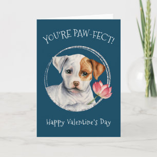 Puppy Dog   You're Pawfect!   Valentines Day Card