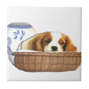 Puppy Dogs Tile