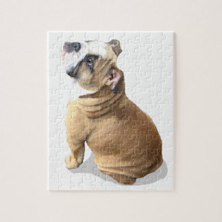 puppy english bulldog puppy puzzle
