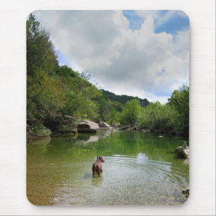 Puppy Exploring Barton Creek - Austin Texas Mouse Mat