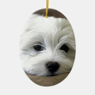 Puppy Eyes Ceramic Tree Decoration
