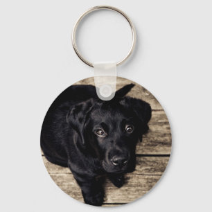 Puppy Eyes Key Ring