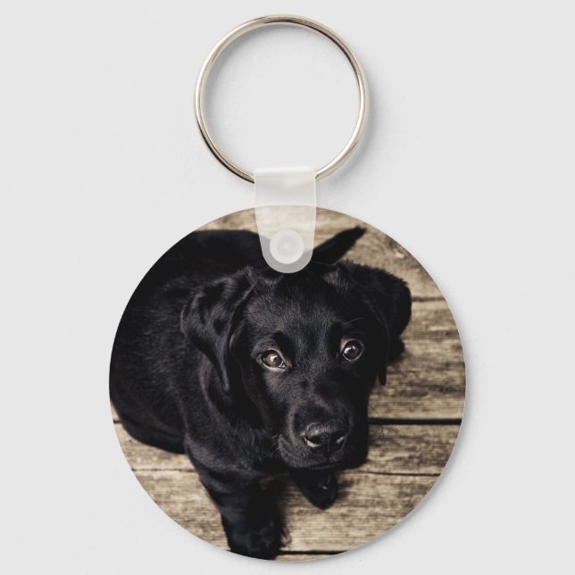 Puppy Eyes Key Ring (Front)