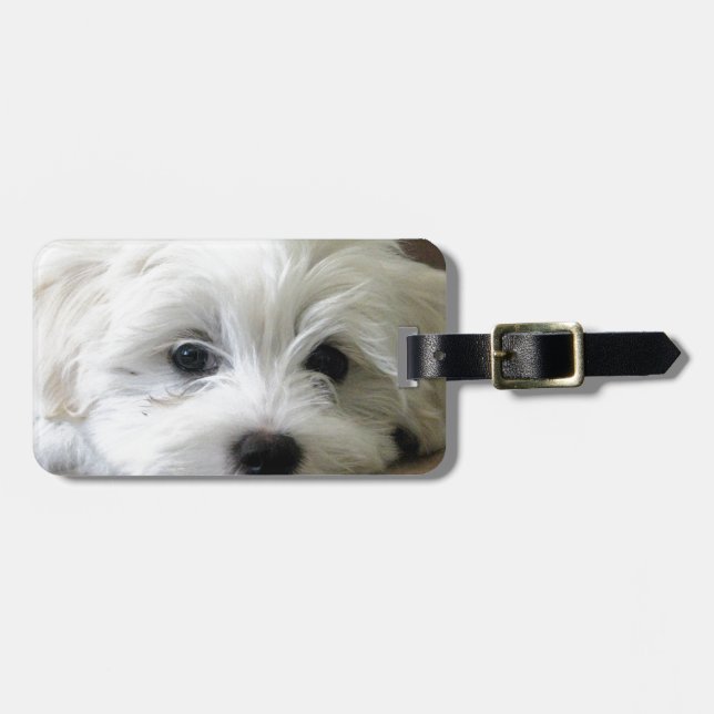 Puppy Eyes Luggage Tag (Front Horizontal)