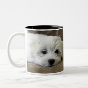 Puppy Eyes Maltese Custom Mug