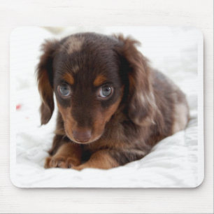 Puppy eyes mouse mat