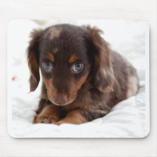 Puppy eyes mouse mat (Front)