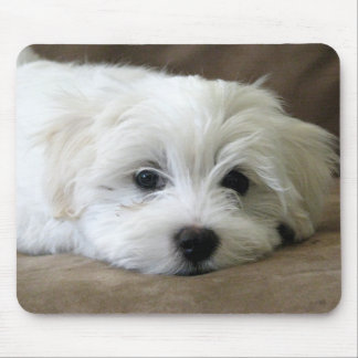 Puppy Eyes Mouse Mat