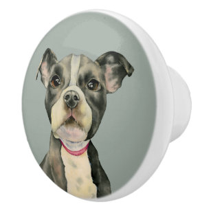"Puppy Eyes" Pit Bull Dog Watercolor Painting Ceramic Knob