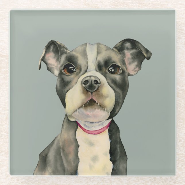 "Puppy Eyes" Pit Bull Dog Watercolor Painting Glass Coaster (Front)