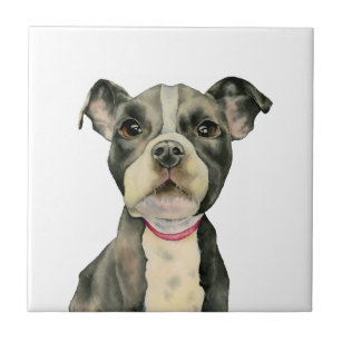 "Puppy Eyes" Pit Bull Dog Watercolor Painting Tile