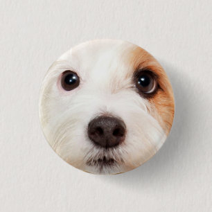 Puppy Face 3 Cm Round Badge