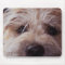 puppy face close up mouse pad