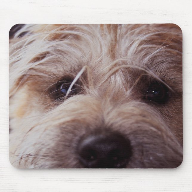puppy face close up mouse pad (Front)
