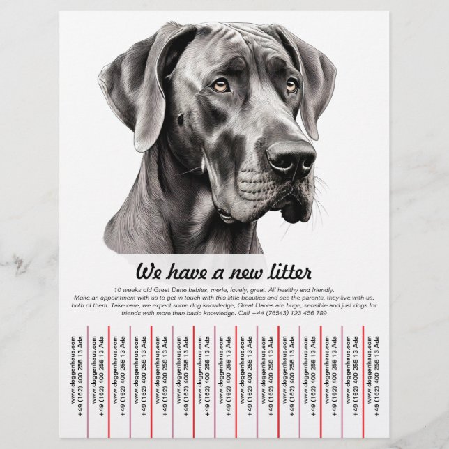 puppy for sale flyer templates (Front)