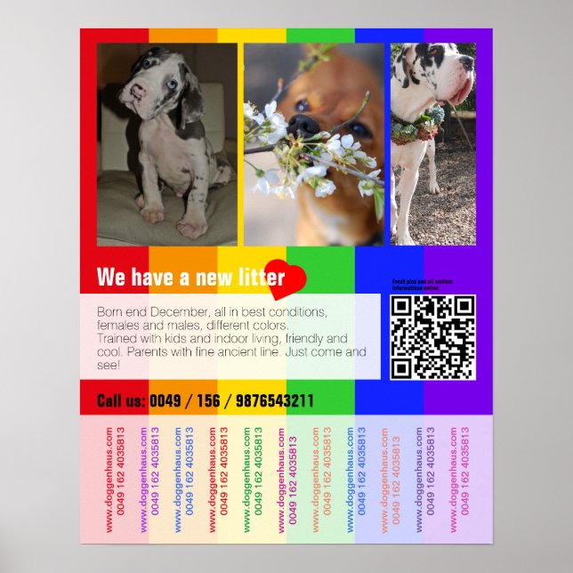 Puppy for sale flyer with QR code Poster (Front)