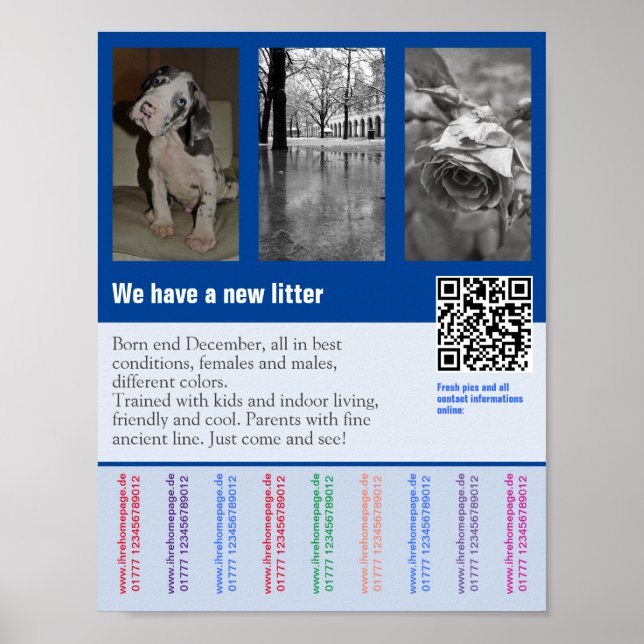Puppy for sale flyer with QR code Poster (Front)