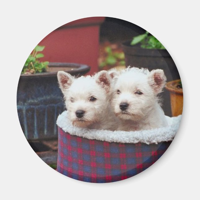 Puppy Friends Magnet (Front)