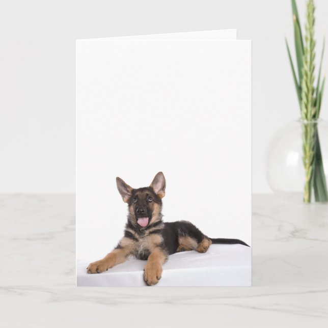 puppy German shepherd Card (Front)
