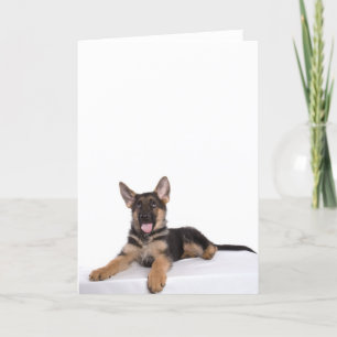 puppy German shepherd Card