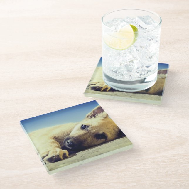 Puppy Glass Coaster (Angled)