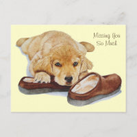puppy golden retriever dog portrait missing you