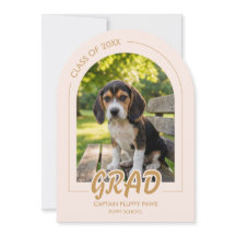 Puppy Graduation Blush Pink Gold Modern Photos