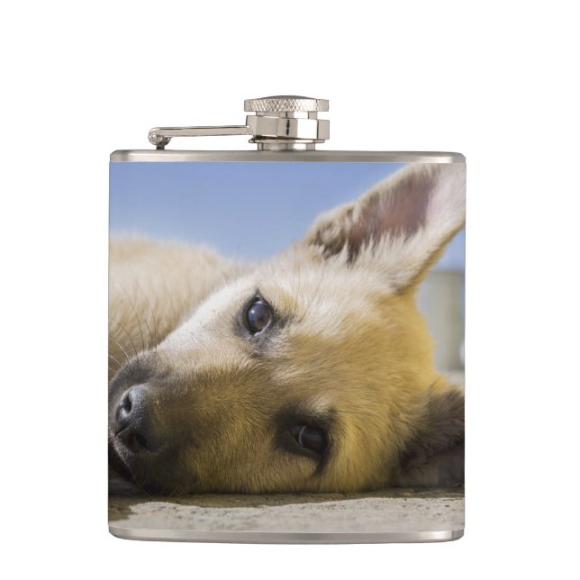 Puppy Hip Flask (Front)