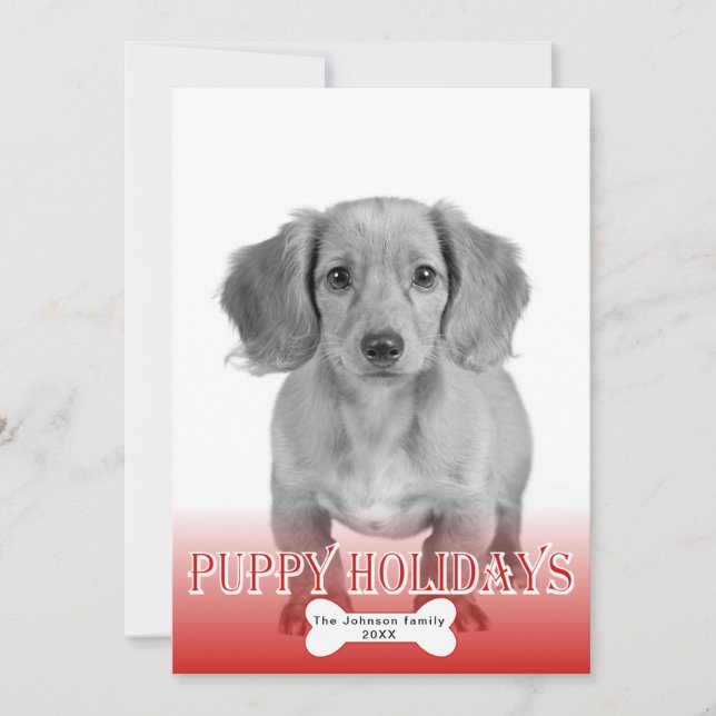 Puppy holidays bone pattern pet Christmas photo Holiday Card (Front)
