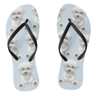 Puppy Hugging His Toy Flip Flops