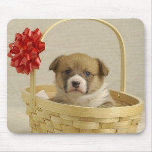 Puppy in a basket mouse mat